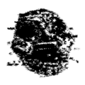 Thumbnail for version as of 14:45, 26 February 2023