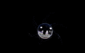 Thumbnail for version as of 05:00, 9 October 2024